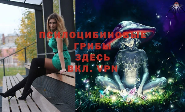 каннабис Абаза