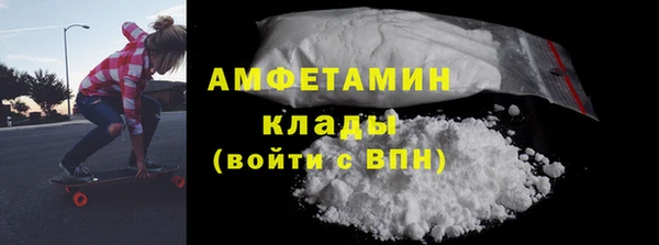 прущие грибы Абинск