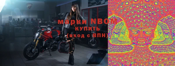 прущие грибы Абинск
