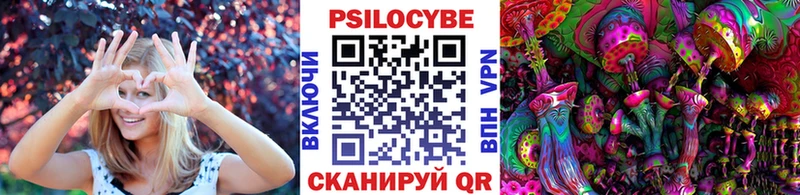 даркнет телеграм Кандалакша Псилоцибиновые грибы Psilocybe