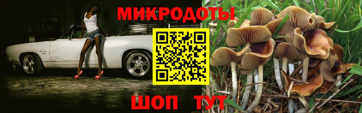Псилоцибиновые грибы мицелий Кандалакша